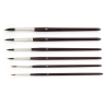 Student brush set, 6 pieces