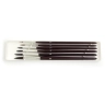 Student brush set, 6 pieces